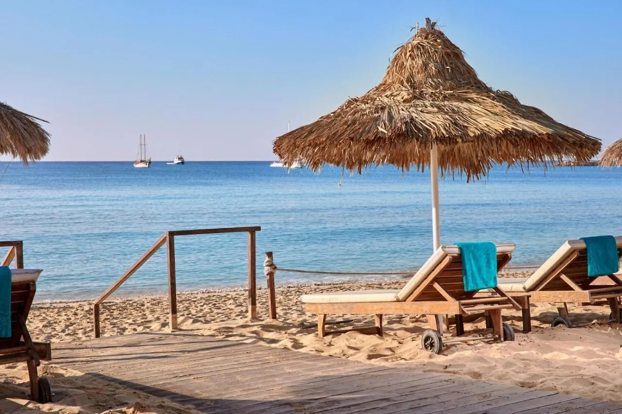 Ha.De.Co. Holiday Apts Ayia Napa Cyprus